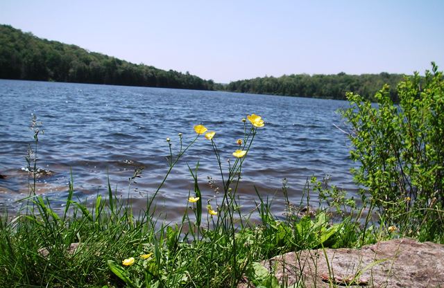 Stratton Pond